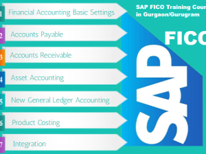 Best SAP FICO Institute in Delhi, Rohini, Free Accounting, Tally, Free Demo, 100% Job Guarantee