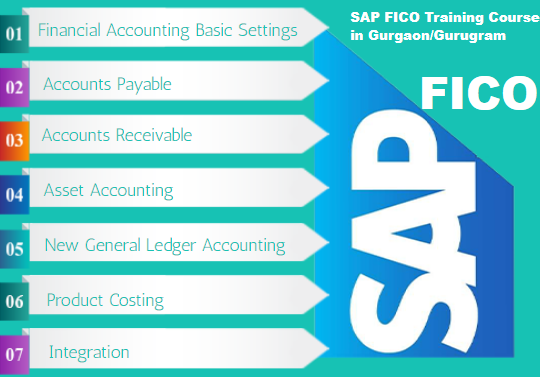 Best SAP FICO Institute in Delhi, Rohini, Free Accounting, Tally, Free Demo, 100% Job Guarantee