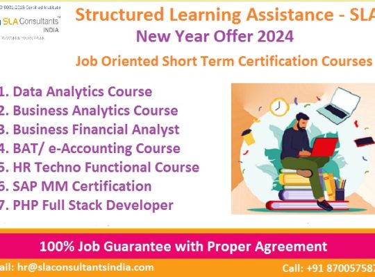 Short Term Accounting courses in Delhi after 12th – 6 Months by Structured Learning Assistance – SLA