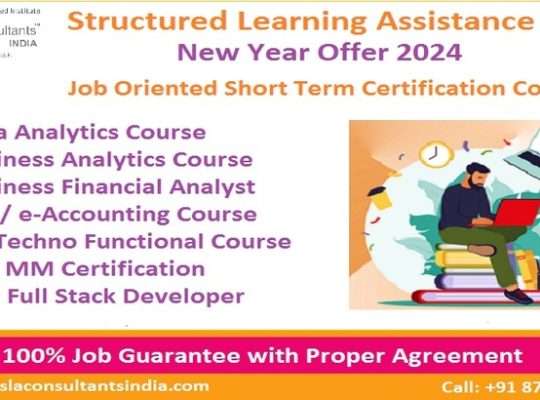 Business Analyst Training Course, Saket, Delhi, SLA Data Analytics Certification Classes, Python