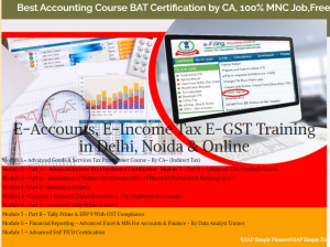 Best Accounting Training Course in Delhi, with Free SAP Finance FICO by SLA Consultants Institute