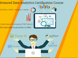 Data Analyst Certification Course in Delhi, 110003. Best Online Live Data Analyst Training in Pune