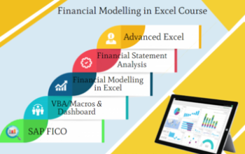 Financial Modelling Course in Delhi, 110068. Best Online Live Financial Analyst Training in Bhopal b