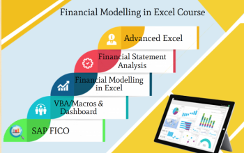 Financial Modeling Course in Delhi.110086. Best Online Live Financial Analyst Training in Ghaziabad