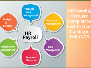 HR Training Institute in Delhi, 110074, With Free SAP HCM HR Certification by SLA Consultants