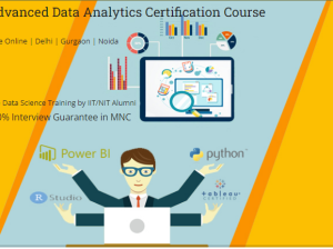 Job Oriented Data Analyst Course in Delhi, 110078. Online Live Data Analytics Training in Bhopal