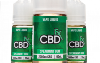 CBDFX SPEARMINT GUM VAPE JUICE 30ML In Pakistan-03001597100