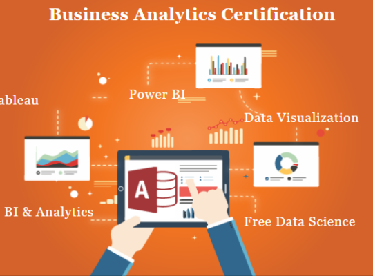 Best Business Analyst Course in Delhi, 110081. Best Online Live Business Analytics Training