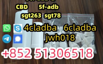 5CL-ADB supplier 5cladb 5cladba vendor on sale now