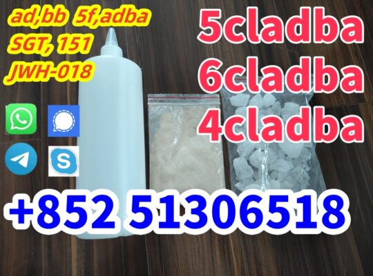 5CL-ADB supplier 5cladb 5cladba vendor on sale now