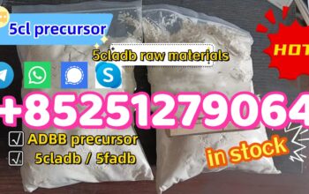 5cladba 5CLADB precursor 5cl-adb-a 5cladb raw materials adbb