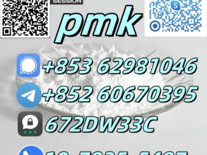 China Hot Selling Pmk With 99% High Quality