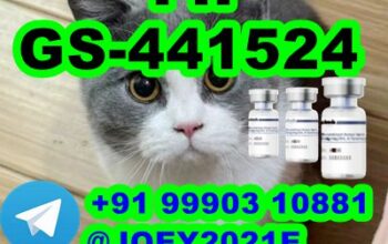 GS-441524 cat Fip Feline Infectious Peritonitis