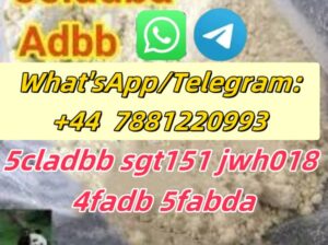 5CL-ADB 5CLADB-A 5CLADB-B SGT78 SGT151 5CK-ADB 2CL 6CL 2FADCK